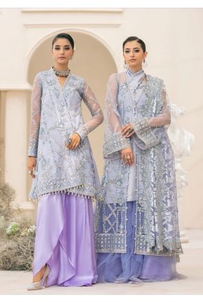 Wedding Festive Embroidered Pakistani Palazzo Suit