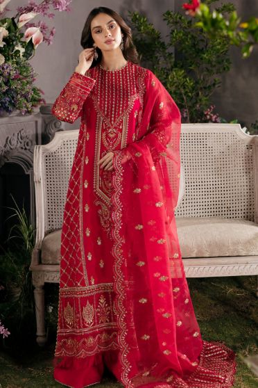 Carmine Embroidered Pakistani Palazzo Suit