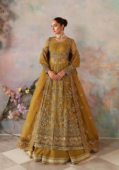 Sierra Embroidered Pakistani Anarkali Suit