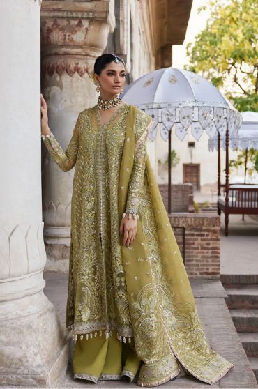 Shehnaz Embroidered Pakistani Gown