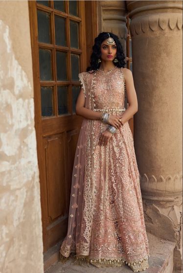Madhur Embroidered Pakistani Gown