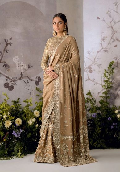 Edit Look Embroidered Pakistani Saree