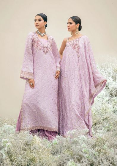 Wedding Festive Embroidered Pakistani Palazzo Suit/ Gown