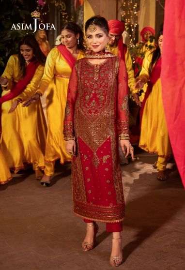 Chamak Damak Embroidered Pakistani Salwar Kameez