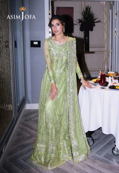 Festive Embroidered Pakistani Anarkali