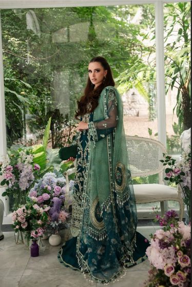 Ambrosia Embroidered Pakistani Gown
