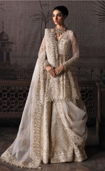 Helena Embroidered Pakistani Palazzo Suit