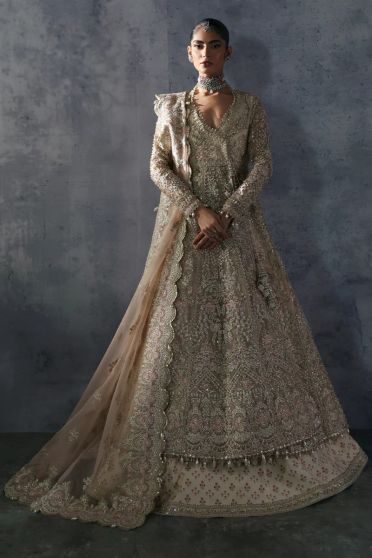 Emilia Embroidered Pakistani Gown