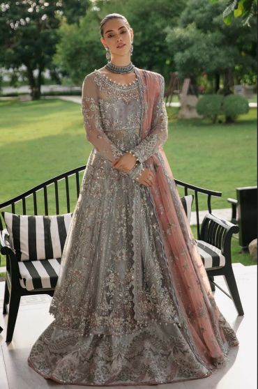 Zira Embroidered Pakistani Gown