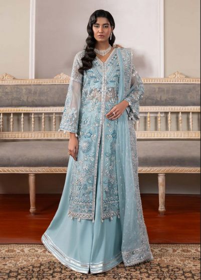 Starlight Embroidered Pakistani Palazzo Suit