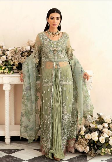 Shahbano Embroidered Pakistani Gown