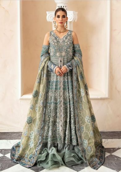 Nyra Embroidered Pakistani Gown