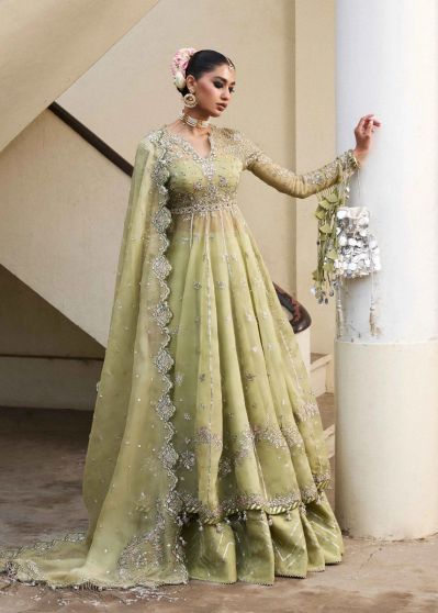 Tahiri Embroidered Pakistani Anarkali Suit