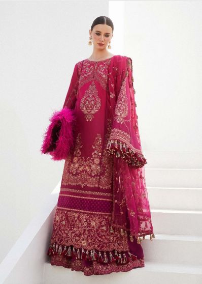 Nora Embroidered Pakistani Gown