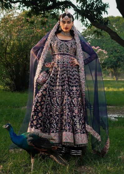 Falak Embroidered Pakistani Anarkali Suit