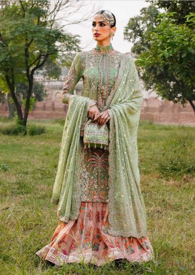 Light green deals pakistani dress