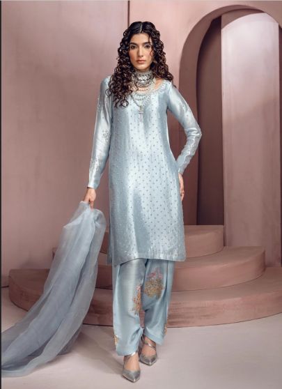 Fairy Dust Embroidered Pakistani Salwar Kameez