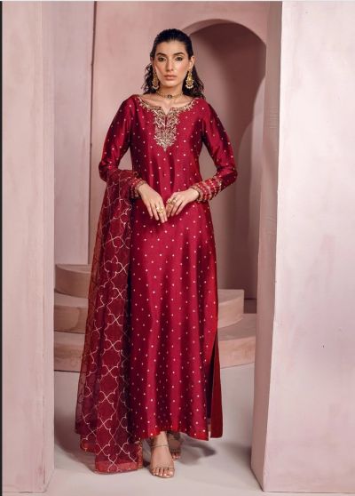 Lady in Red Embroidered Pakistani Anarkali