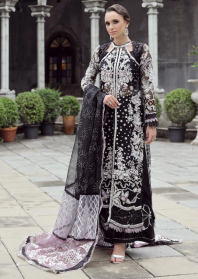 Danisa Embroidered Pakistani Salwar Kameez