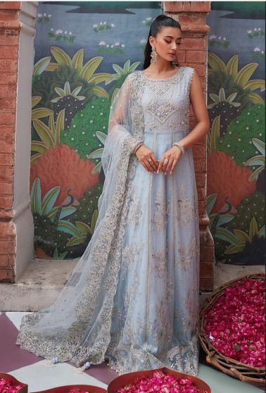 Tania Embroidered Pakistani Gown