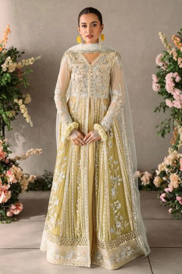 Hira Embroidered Pakistani Anarkali Suit