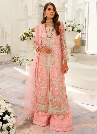 Liuminous Blush Embroidered Pakistani Palazzo Suit