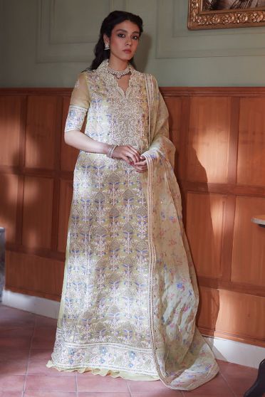 Dina Embroidered Pakistani Anarkali Suit