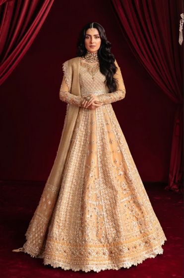 Fariya Embroidered Pakistani Anarkali Suit