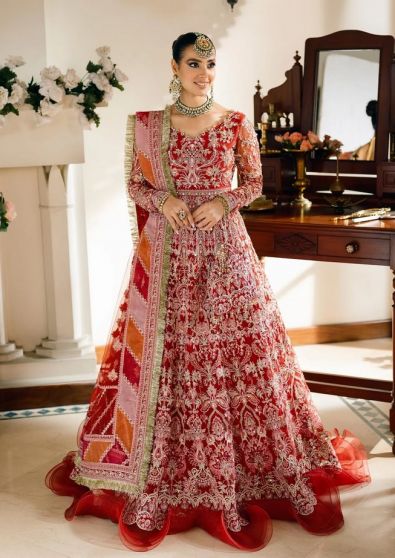 Reesham Embroidered Pakistani Anarkali