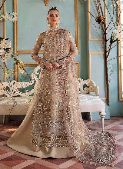 Claire De Lune Un Lys Embroidered Pakistani Gown