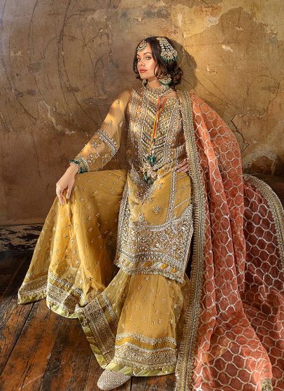 Nayab Festive Collection Embroidered Pakistani Palazzo Suit