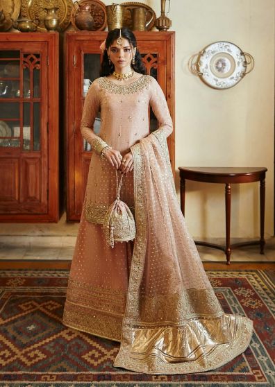 Hala Embroidered Pakistani Palazzo Suit