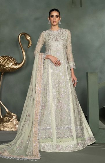 InaraEmbroidered Pakistani Anarkali