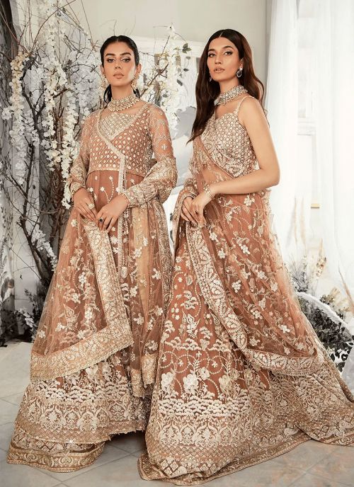 Festive Collection Embroidered Pakistani Anarkali Lehenga